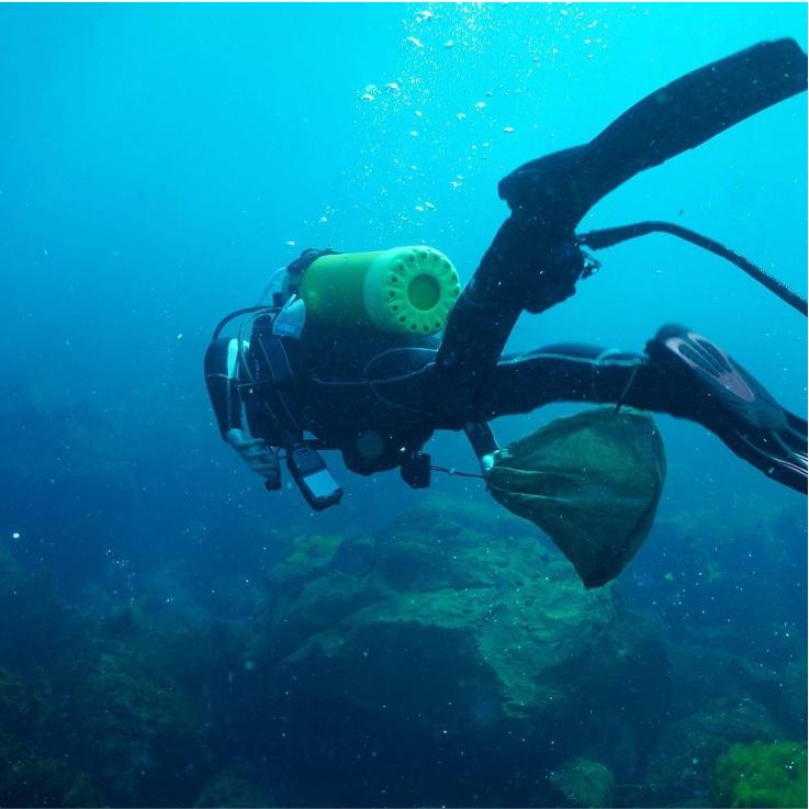 Dr. Nicole Foster diving