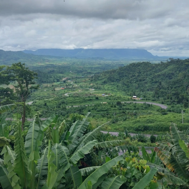 Cardomom mountains